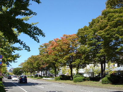 暑い暑い石川県_d0120815_15433012.jpg