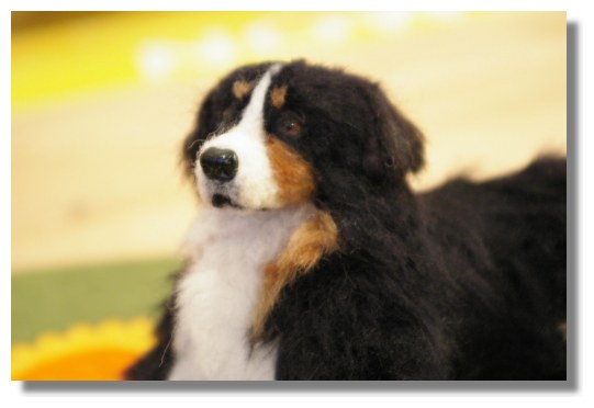 バーニーズ マウンテンドッグ アレク君完成 オーダー Lokinikki フリースドッグと黒い猫 羊毛フェルトの犬猫ぐるみ バーニーズ マウンテンドッグ アレク君完成 オーダー Lokinikki フリースドッグと黒い猫 羊毛フェルトの犬猫ぐるみ