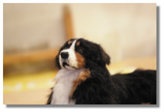 バーニーズ マウンテンドッグ アレク君完成 オーダー Lokinikki フリースドッグと黒い猫 羊毛フェルトの犬猫ぐるみ バーニーズ マウンテンドッグ アレク君完成 オーダー Lokinikki フリースドッグと黒い猫 羊毛フェルトの犬猫ぐるみ