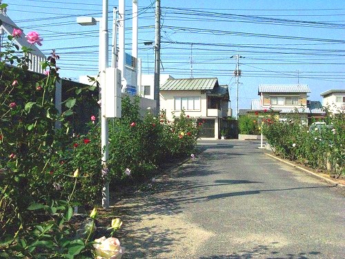 e0072023_19534146.jpg