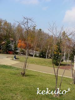 f0170524_16512518.jpg