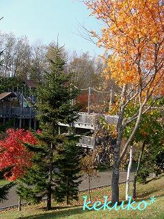 f0170524_16581198.jpg