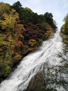 山粧う日光へ　②_a0043326_220898.jpg