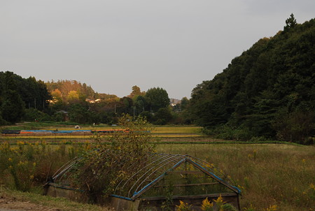 c0167329_1495464.jpg