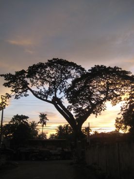 a0088435_20523939.jpg