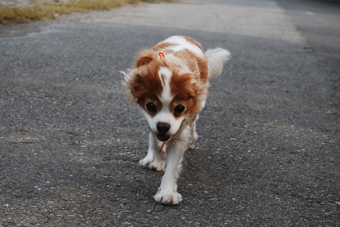 c0136838_2319249.gif