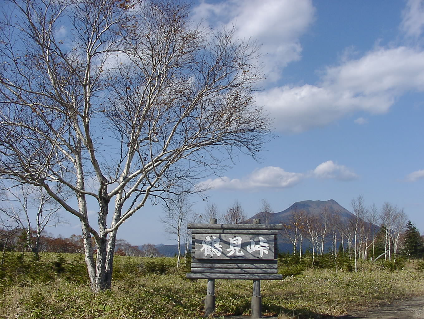 検証 鶴見峠 (ラリー気分?) 10月19日_f0113639_16394447.jpg