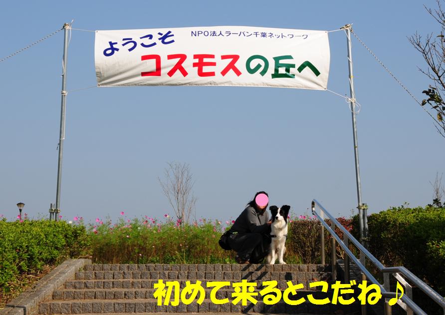 c0147241_227371.jpg