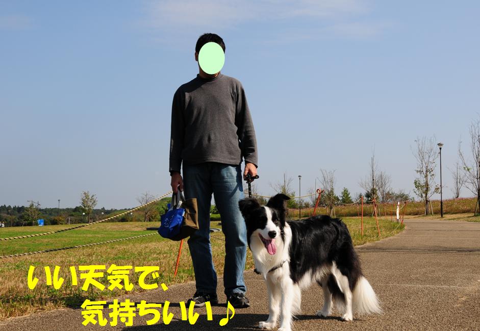 c0147241_227525.jpg