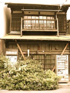 柿くへば_d0057843_1825432.jpg