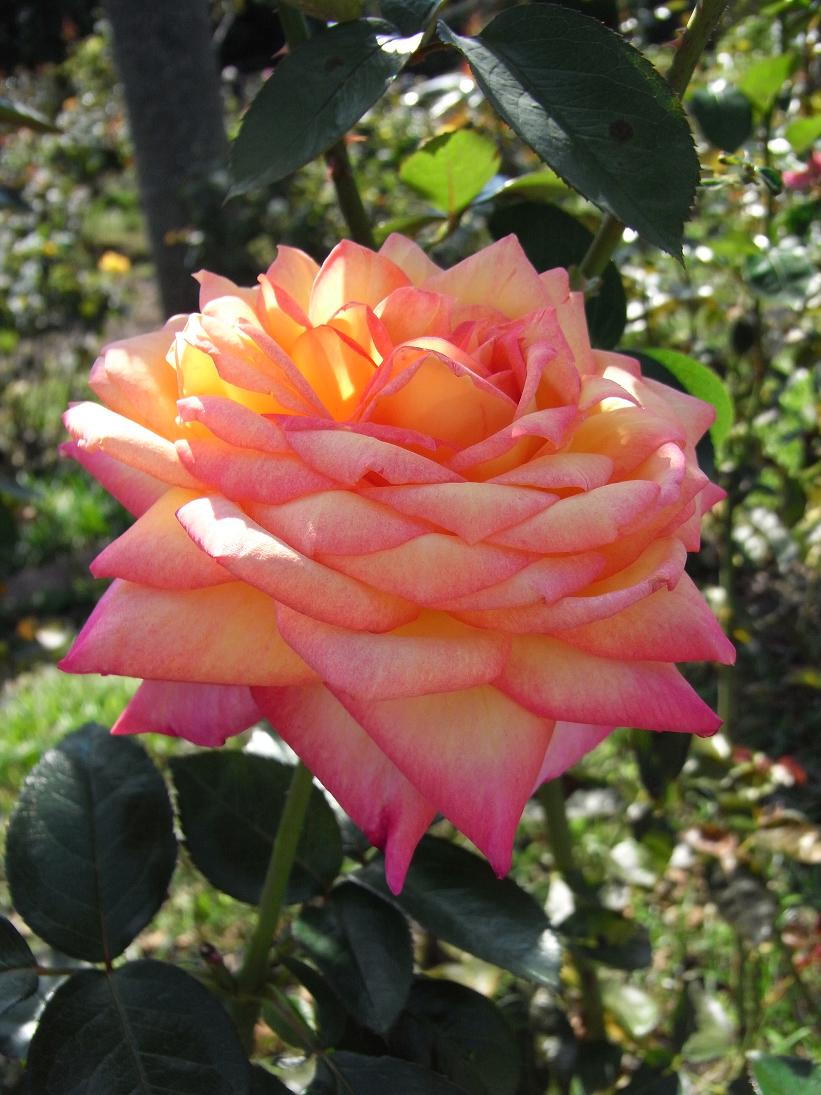 b0017844_2263941.jpg