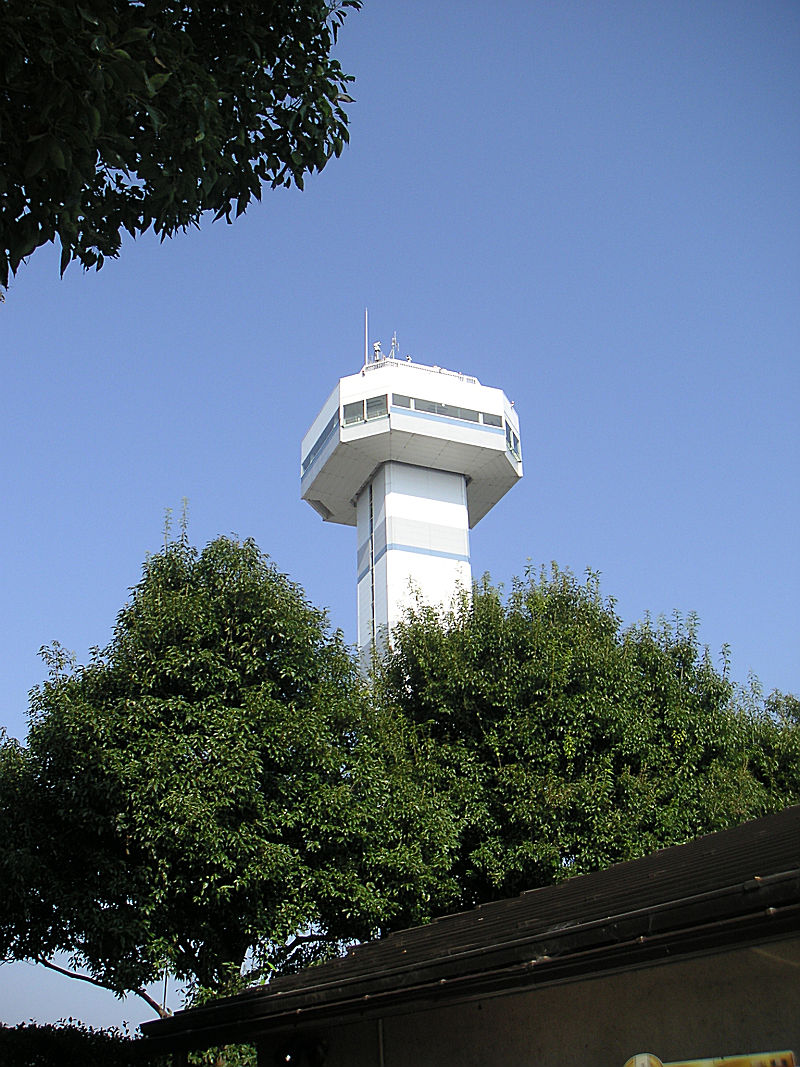 久々の木曽三川公園、久々の草餅_b0088444_22371444.jpg