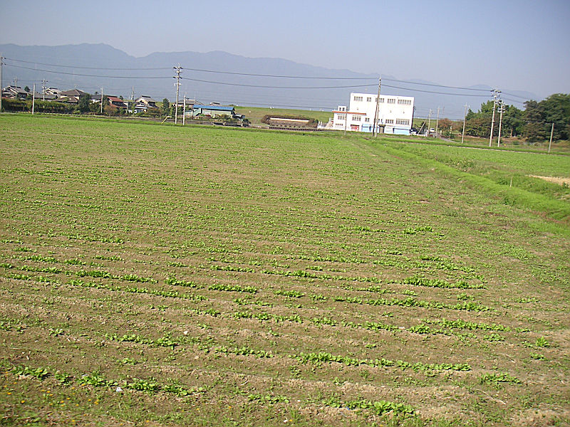 b0088444_22405440.jpg