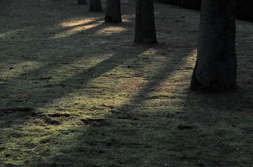 c0093046_732130.gif