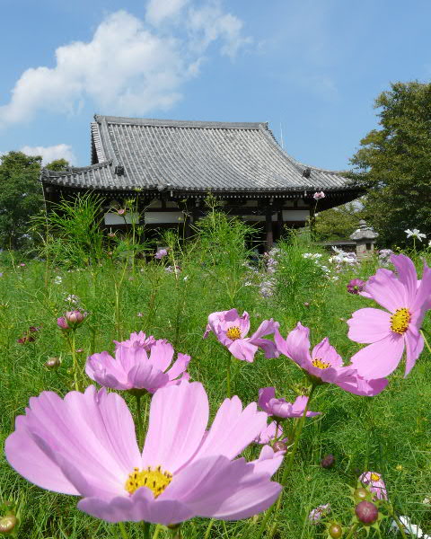 般若寺_e0017051_8131410.jpg