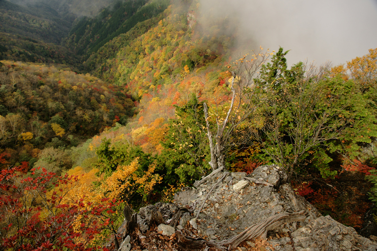 霧の両神山_f0016656_17351491.jpg