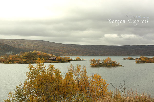 Fjord Tour 2008 09 26_f0017458_13404289.jpg