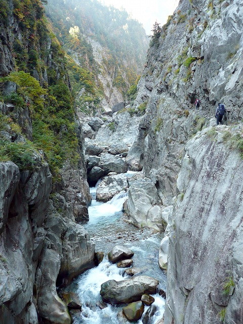 d0110562_947324.jpg