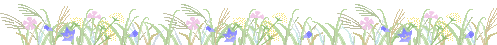 d0038372_2348077.gif