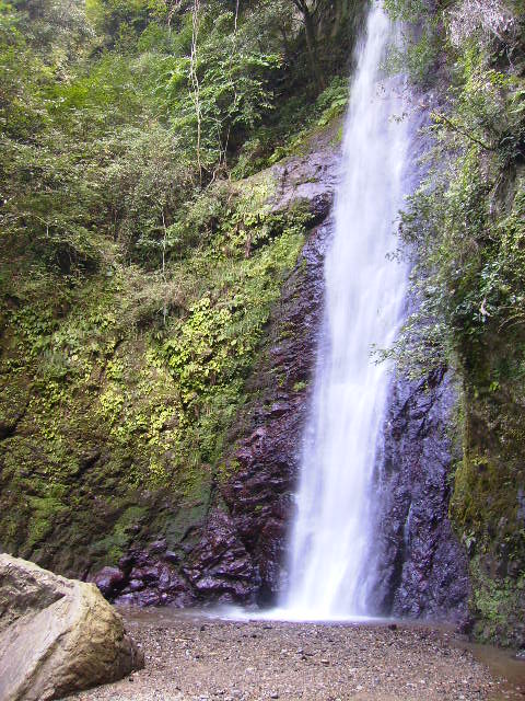 d0120382_99217.jpg