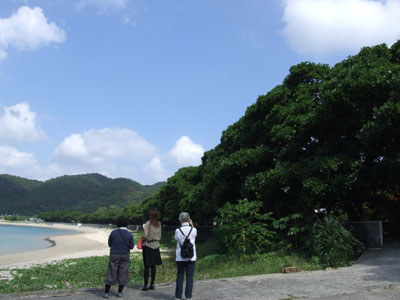 ルネッサーンス♪_e0028387_2012082.jpg