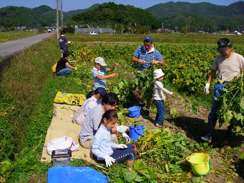 a0089288_2046810.jpg