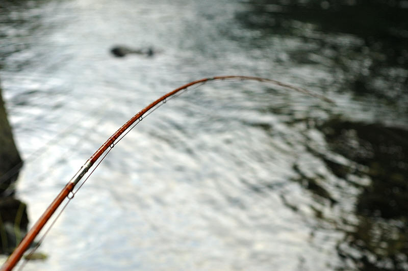 The Bamboo Rod /アメリカン・バンブーロッドのいままで : Spey Bum