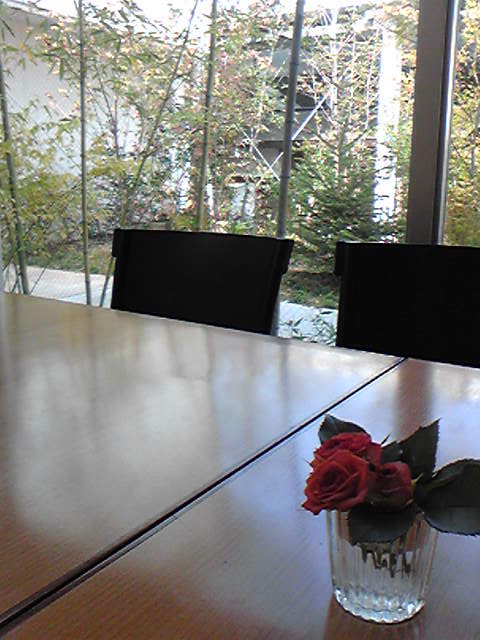 紅葉_e0120789_11311238.jpg