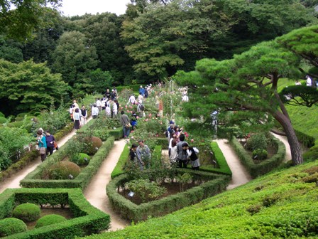 東京で英国風庭園を楽しむ_b0017892_23194048.jpg