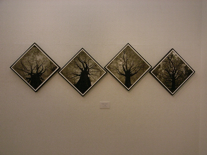 e0025893_0563151.jpg