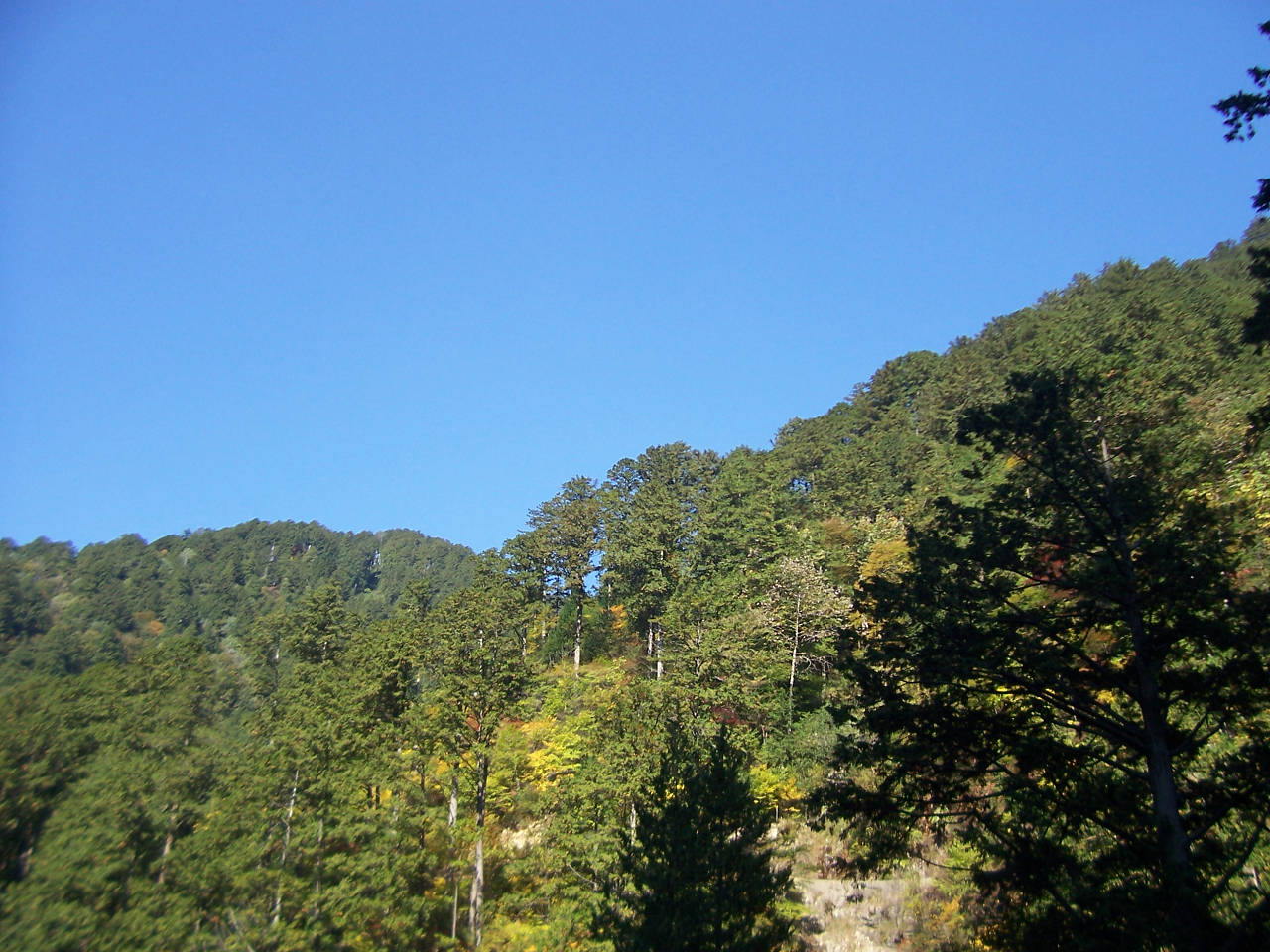 「水と緑の勉強会 秋 報告」_f0073301_16233923.jpg