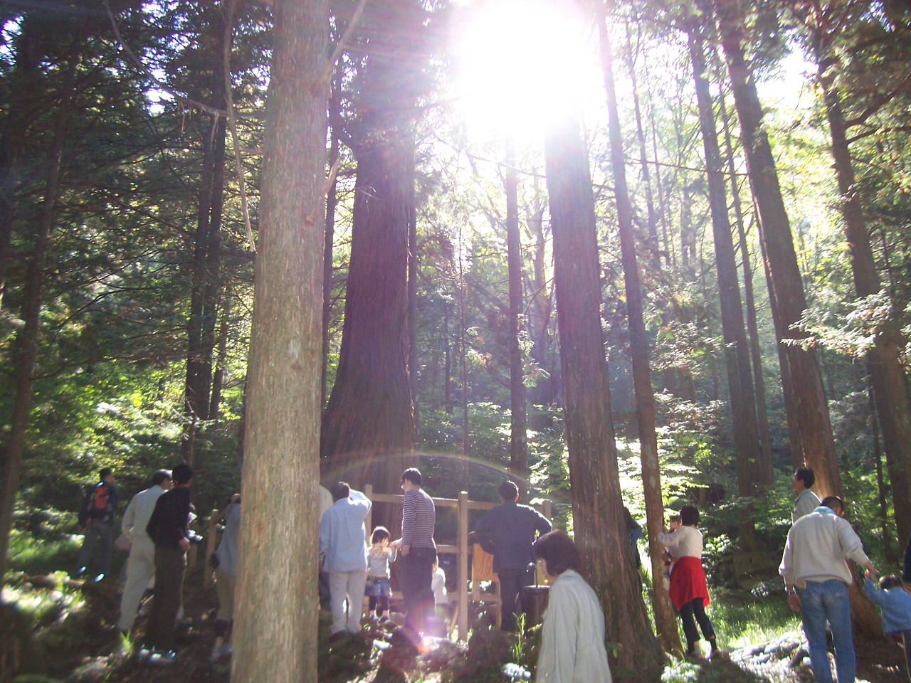 「水と緑の勉強会 秋 報告」_f0073301_1625516.jpg