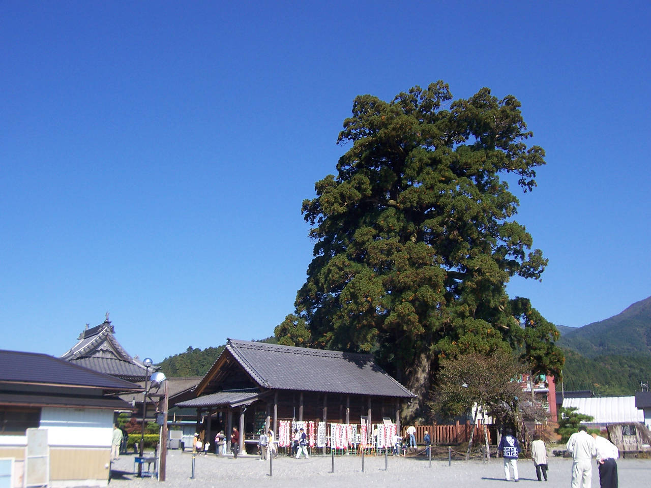 「水と緑の勉強会 秋 報告」_f0073301_16262451.jpg