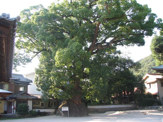 f0197504_923444.jpg
