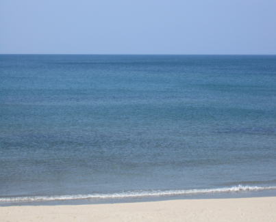 d0001008_8144383.jpg