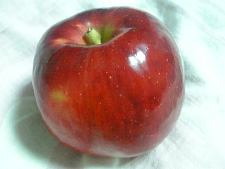 e0098908_22293715.jpg