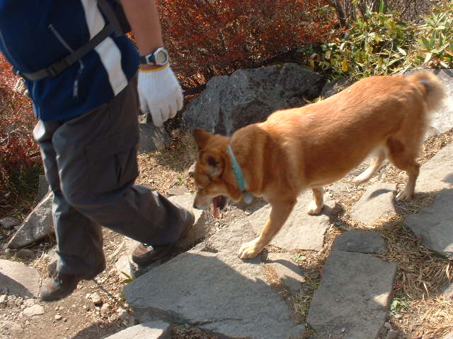 ３２１）栃木県の赤見温泉、その他赤城連峰など。_b0029010_22542940.jpg