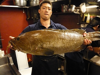 ヤガネ到着_f0157910_1565561.jpg