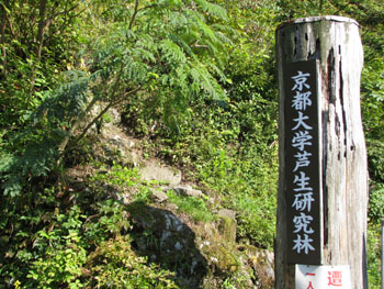 e0048413_13575479.jpg