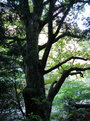 e0048413_13591860.jpg