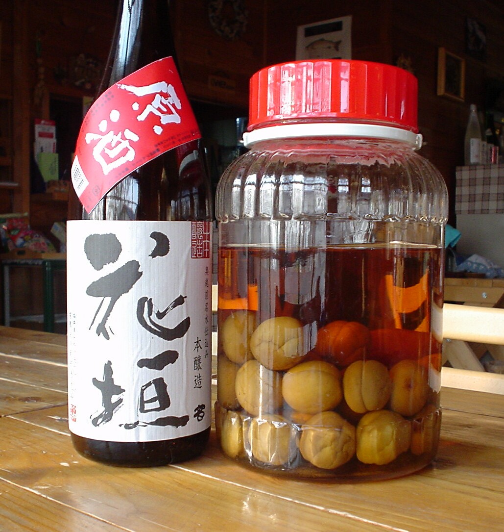 ポン酒で梅酒!_d0070814_15314980.jpg