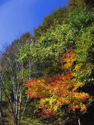 d0136422_0161010.jpg