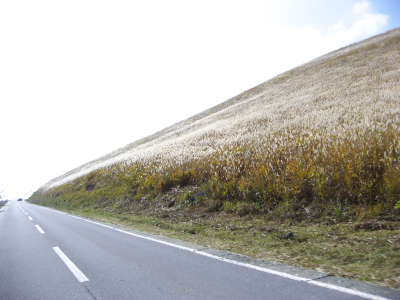 d0136422_0253861.jpg