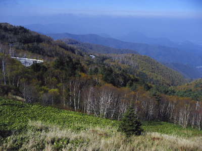 d0136422_0262388.jpg