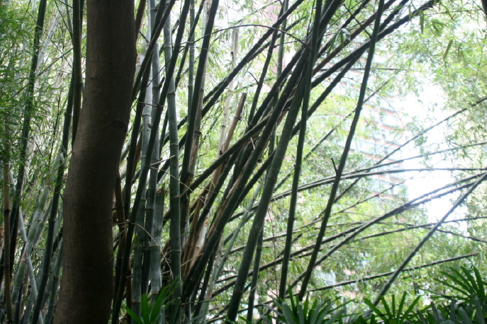 b0132924_22454557.jpg