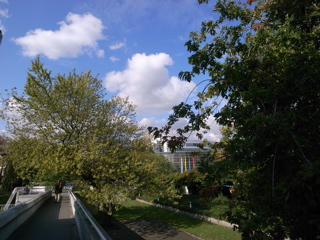 a0059032_19593519.jpg