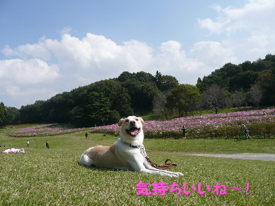 d0140133_21512.jpg