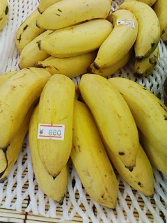 e0041337_16242139.jpg