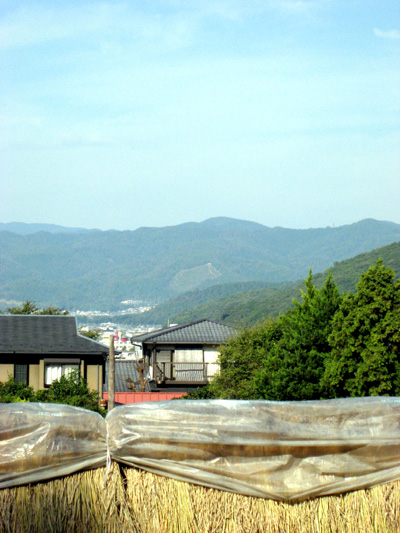 d0132439_2233132.jpg