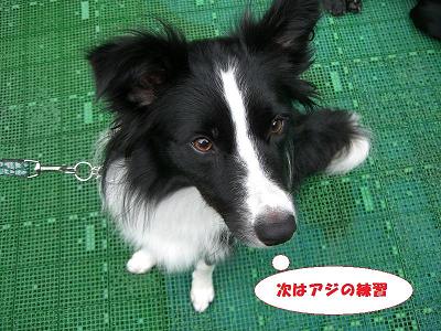 f0186040_12279.jpg